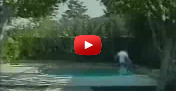 O Salto Estupido Na Piscina